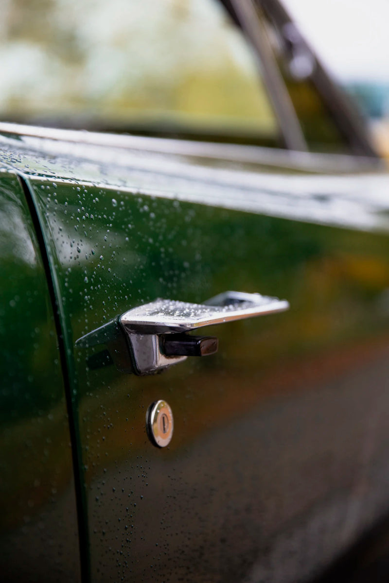 Efficient Ways to Organize Your Cleaning Supplies - Sud Factory