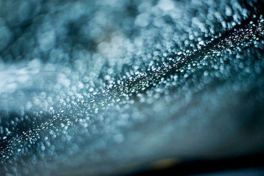 Master DIY Auto Detailing at Home: Top Tips Revealed - Sud Factory
