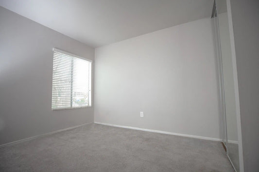 Mastering Stain Removal: Tough Stains on Carpets & Upholstery - Sud Factory