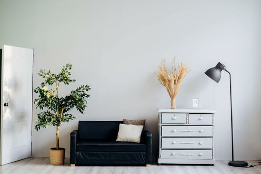 Trendy Auto Detailing Tools for Your Home Projects - Sud Factory
