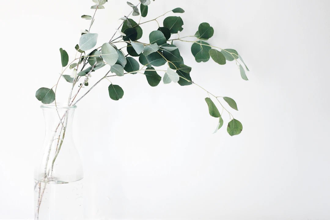 Discovering Minimalism: Simplify Your Life Today! - Sud Factory