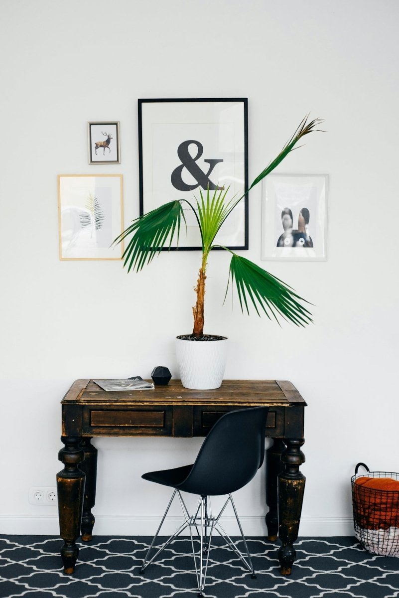 Essential Steps for an Effective DIY Home Cleaning Routine - Sud Factory