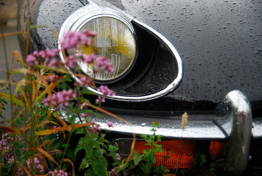 Mastering a Clean and Dust-Free Dashboard - Sud Factory