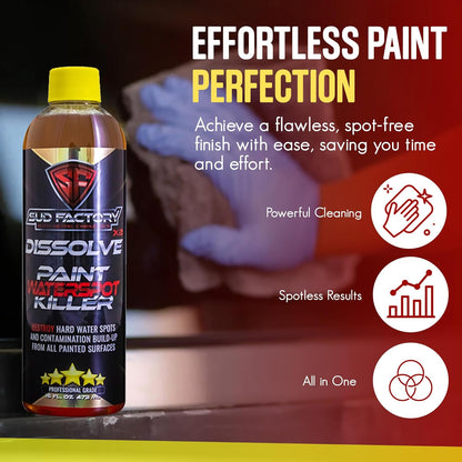 Dissolve X2 Paint Water Spot Remover