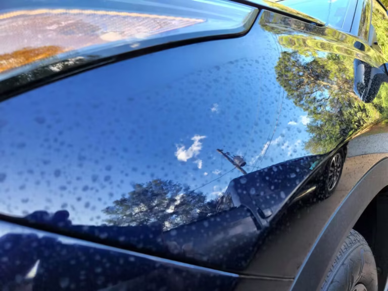 Car paint before