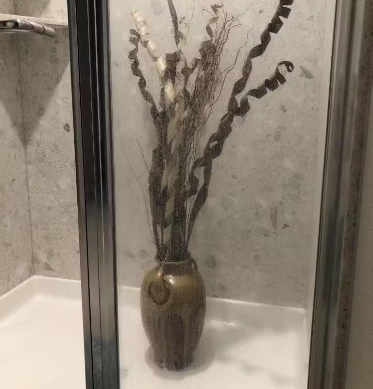 Shower door before