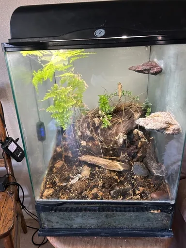 Customer photo: terrarium glass, after