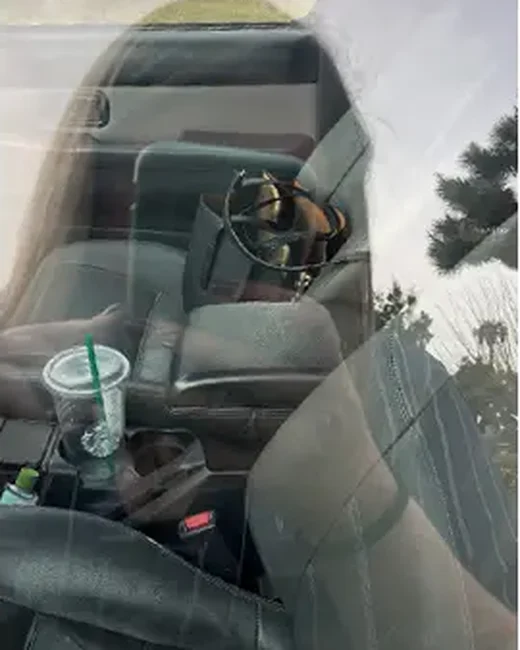 Car window after: clear view into the cabin