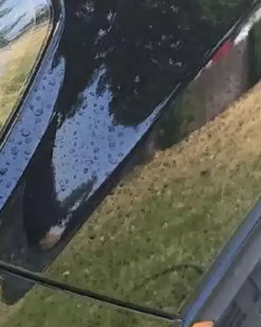 Black car paint before: dotted with water spots