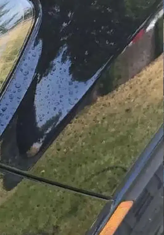 Dark car paint covered in water spots